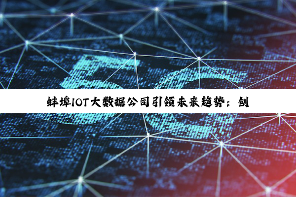 蚌埠IOT大数据公司引领未来趋势：创新融合，打造物联网与大数据新生态