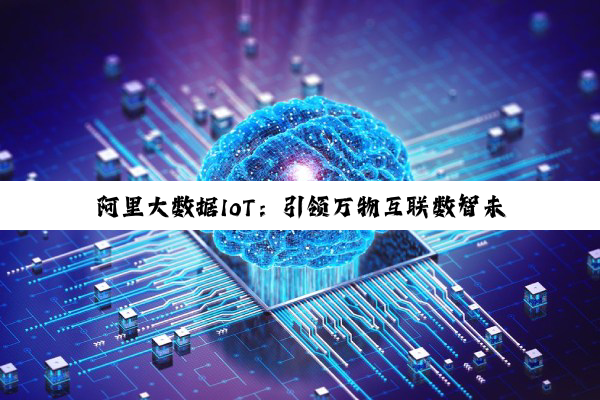 阿里大数据IoT：引领万物互联数智未来