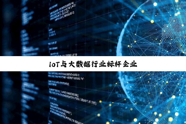 今日科普|IoT与大数据行业标杆企业