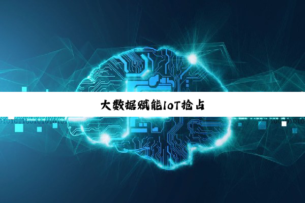 大数据赋能IoT抢占