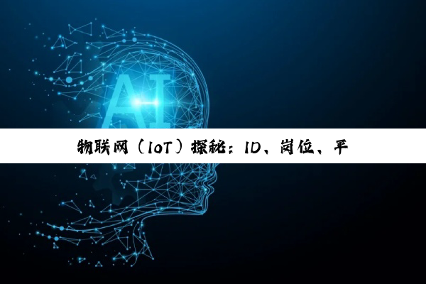 物联网（IoT）探秘：ID、岗位、平台与定义的深度解析