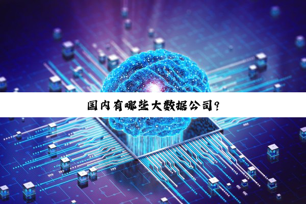 【科普解答】国内有哪些大数据公司?