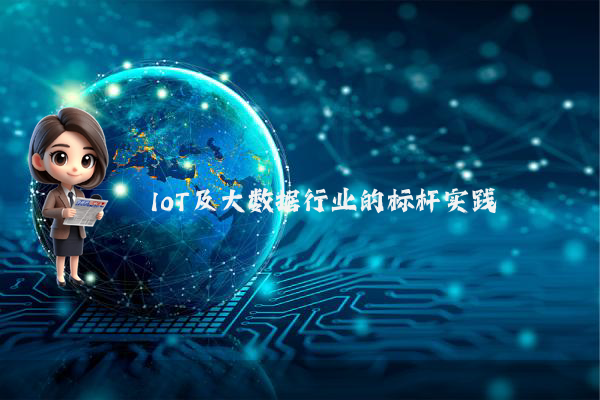 IoT及大数据行业的标杆实践
